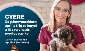 Eljött az idő egy húsvéti nyereményjátéhoz!